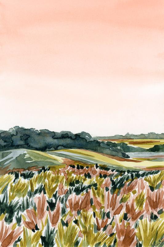 Blush Sky